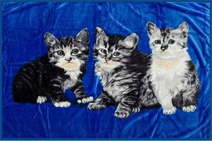 Elway Koc Akryl Kolorowy nr A-674-4 Koty Szare 160x210 4