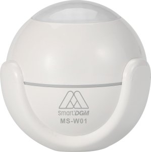 DGM DGM MS-W01 1