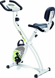 Rower stacjonarny BH Fitness treningowy magnetyczny Back Fit YF91 2