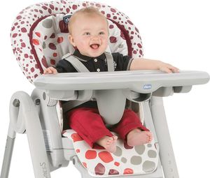 Chicco Polly Progress5 Anthracite 6