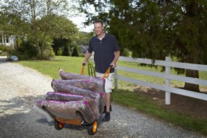 Worx Taczka srebrna (WG050) 19