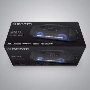 Kolumna Manta ZESTAW MUZYCZNY MANTA SPK614 2