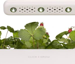 Click And Grow Click&Grow Inteligentna doniczka Smart Garden 3 White 7