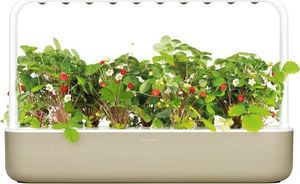 Click And Grow Click&Grow Inteligentna doniczka Smart Garden 9 Beige 3