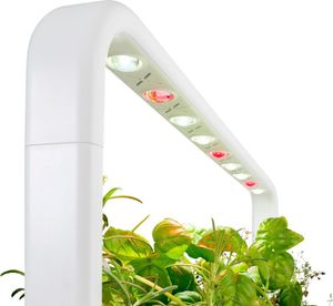 Click And Grow Click&Grow Inteligentna doniczka Smart Garden 9 Dark Grey 4