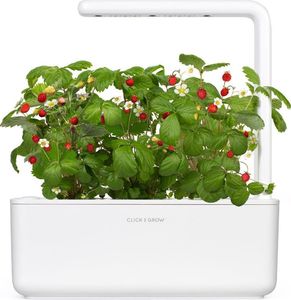 Click And Grow Click&Grow Kapsułki z nasionami Smart Soil Poziomka 3pak 5