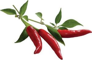 Click And Grow Click&Grow Kapsułki z nasionami Smart Soil Papryczka Chili 3pak 5