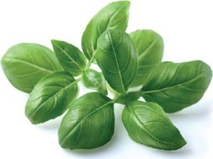 Click And Grow Click&Grow Kapsułki z nasionami Smart Soil Bazylia 3pak 4