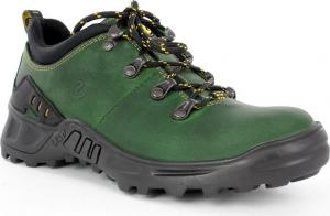 Buty trekkingowe męskie Lesta 3512 zielone r. 43 2