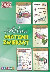 Ilustrowany atlas szkolny. Atlas anatomii zwierząt 1