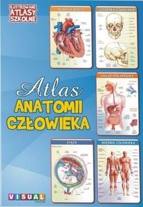 Ilustrowany atlas szkolny.Atlas anatomii człowieka 1