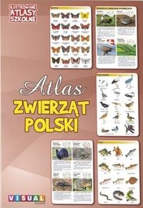 Ilustrowany atlas szkolny. Atlas zwierząt Polski 1