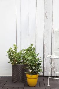 Keter Keter Small Cylinder Planter brązowa 4