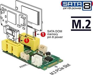 Delock DeLOCK Adapter M.2 Key B+M > 2 x SATA Pin 8 Power 1