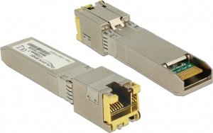 Delock DeLOCK adapter SFP + module 10G / RJ45 / SFP + - 10GBase-T RJ45 1