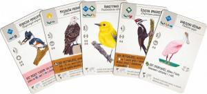 Rebel Gra planszowa Na skrzydłach 5