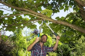 Sekator Gardena EasyCut 680B nożycowy 4