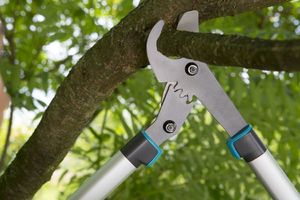 Sekator Gardena EnergyCut 750B nożycowy 4