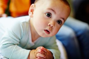 Avent Zestaw startowy 0m+ (SCD301/01) 11