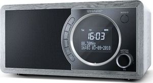 Radio Sharp DR-450 3