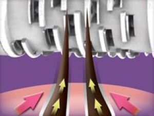 Depilator Remington EP7030 2