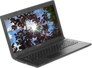 Laptop Lenovo Essential B590 (59-410474) 1