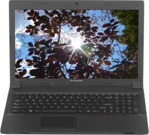 Laptop Lenovo Essential B590 (59-410474) 2