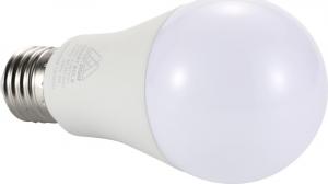 DGM Żarówka Smart DGM L-WT9W1 2