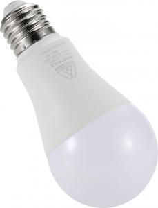 DGM Żarówka Smart DGM L-WT9W1 3