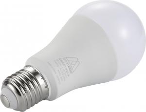 DGM Żarówka Smart DGM L-WT9W1 4