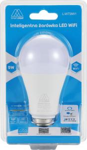 DGM Żarówka Smart DGM L-WT9W1 6