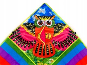 Adar Latawiec Sowa 497146 ADAR 5