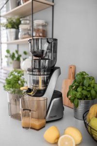 Wyciskarka wolnoobrotowa 4Swiss Swan BM105 Platinium Silver 4