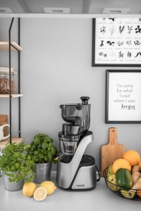 Wyciskarka wolnoobrotowa 4Swiss Swan BM105 Platinium Silver 5