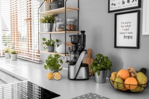 Wyciskarka wolnoobrotowa 4Swiss Swan BM105 Platinium Silver 7