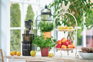 Wyciskarka wolnoobrotowa 4Swiss BM202 x JJ czarna 7