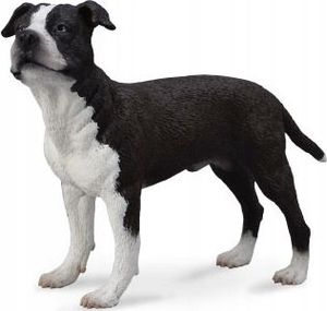 Figurka Collecta PIES AMERICAN STAFFORDSHIRE TERRIER 1