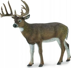 Figurka Collecta White-Tailed Deer 1