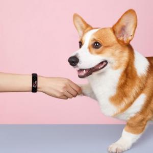 Smartband Honor Band 5 Czarny 4