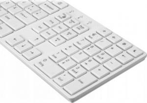 Klawiatura Arctic K381-W Przewodowa Biała DE 6