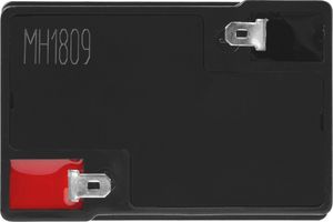 Green Cell Akumulator Agm Vrla 6V/4Ah (AGM15) 3