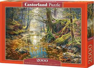 Castorland Puzzle 2000 Wspomnienie z jesiennego lasu 1
