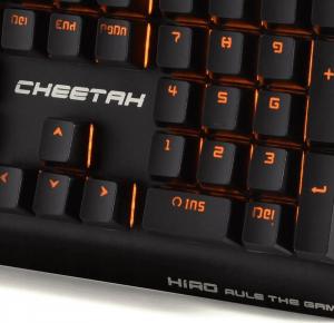 Klawiatura Hiro Cheetah  (NTT-CH) 4