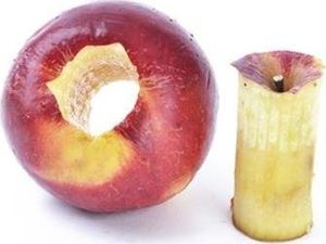 Orion DRYLOWNICA DO JABŁEK ZE STALI NIERDZEWNEJ ORION 2