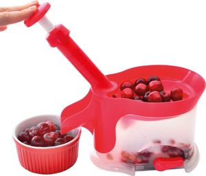 Orion DRYLOWNICA DO WIŚNI Z PRZYSSAWKĄ ORION 2