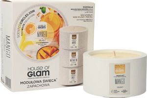 House of Glam House Of Glam Modułowa Świeca zapachowa Mango Delight 200g 1