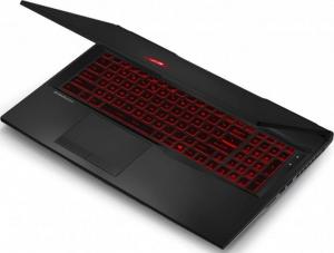 Laptop MSI GL75 9SD-227XPL 5