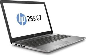 Laptop HP HP Notebook 255 G7 2500U15.6'' 8GB 256GB W10p64 1