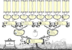 Drzewo Przodków PC 12