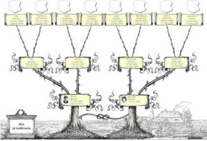 Drzewo Przodków PC 13
